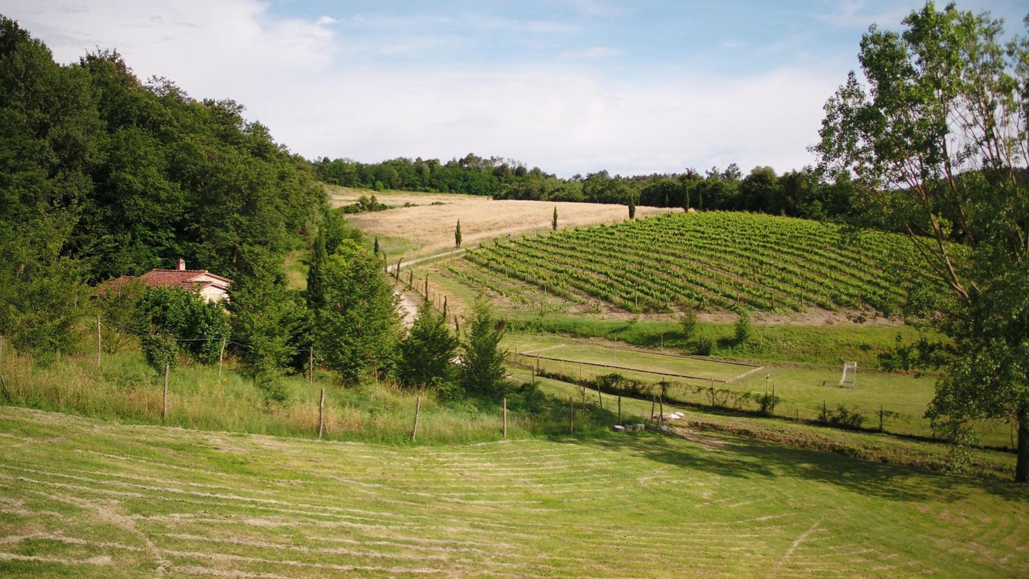 Agriturismo San Bernardino Del Lago Rapolano Terme Exterior foto